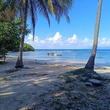 T1 Bis A Proximite De La Plage Le Gosier  Luaran gambar