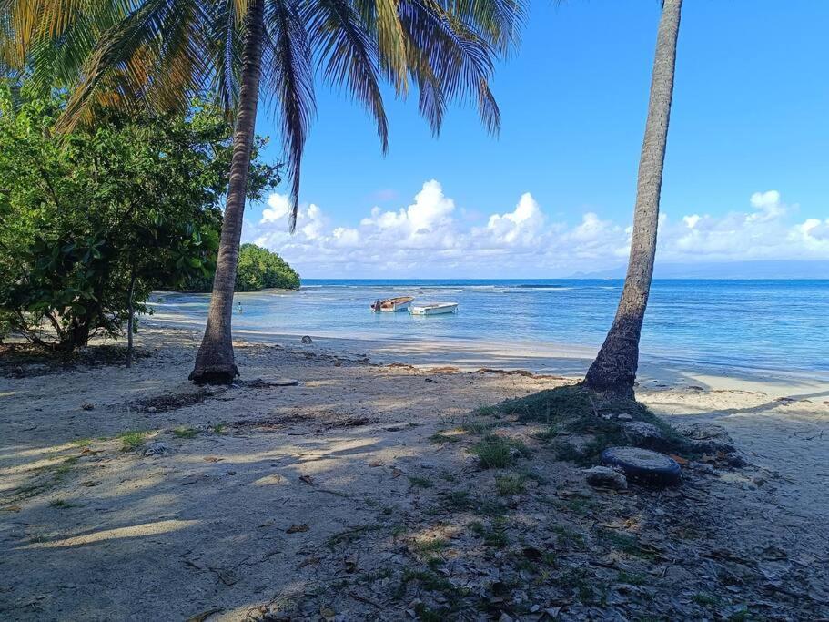 T1 Bis A Proximite De La Plage Le Gosier  Luaran gambar