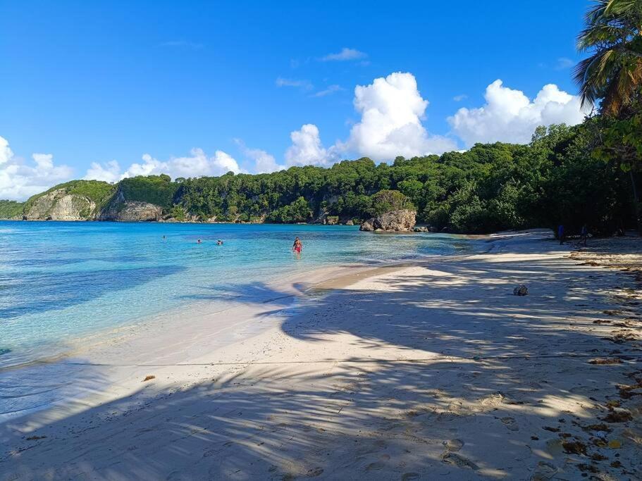 T1 Bis A Proximite De La Plage Le Gosier  Luaran gambar